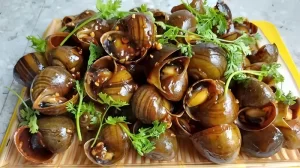Có được ăn ốc sau khi phẫu thuật nâng mũi hay không?