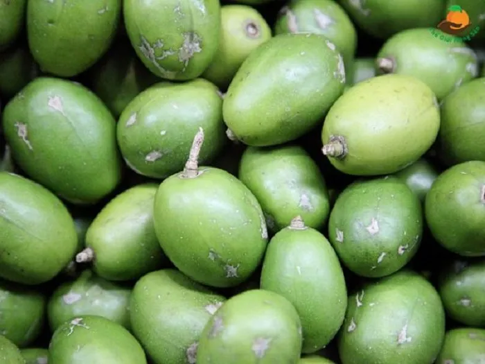 Quả cóc là món ăn quen thuộc và rất được ưa chuộng tại Việt Nam.