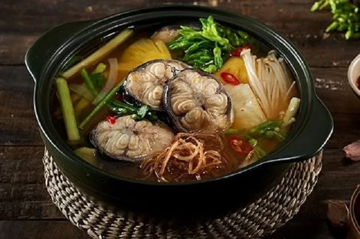 Cá chình là một loài cá có giá trị dinh dưỡng rất cao.